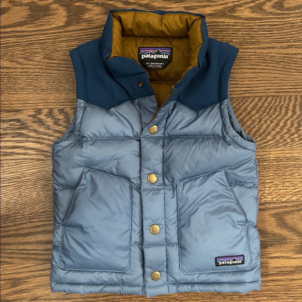 Patagonia Kids Puffer Vest